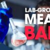 After FDA Approval, States Move to Ban Lab-Grown Meat From Sale | Facts Matter
