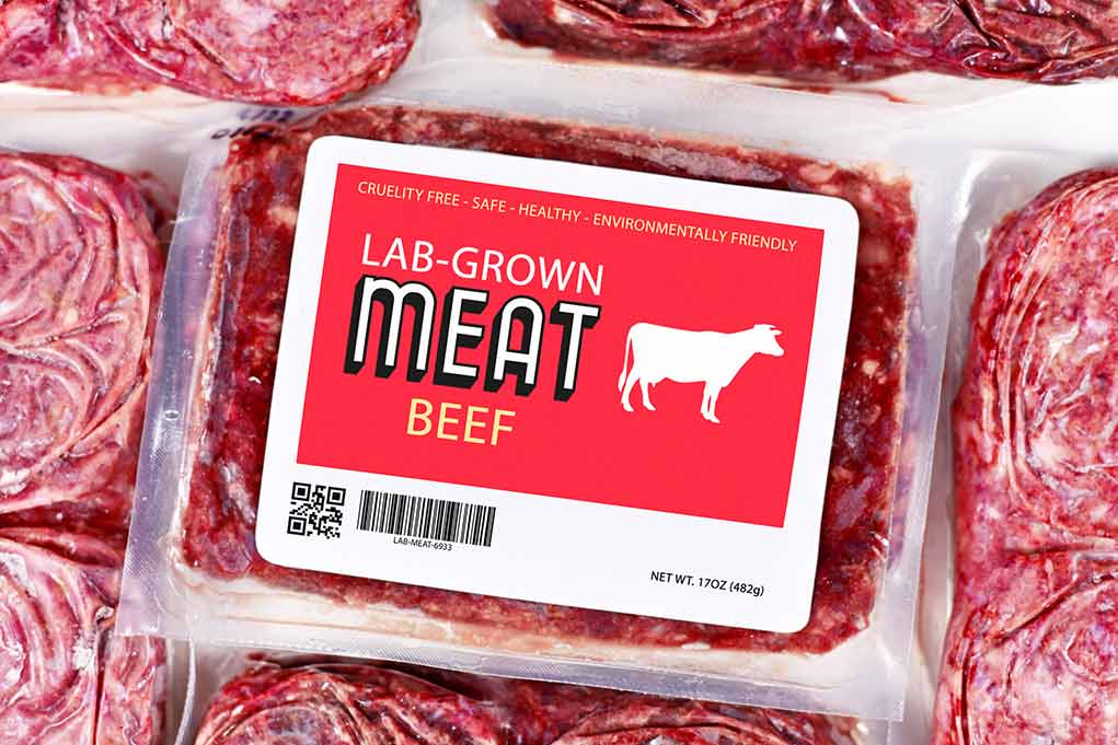 Politics: Us Troops May Soon Be Fed Lab Grown Meat