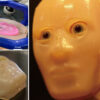 Science & Tech: Scientists Create Robot Face With Lab Grown Living