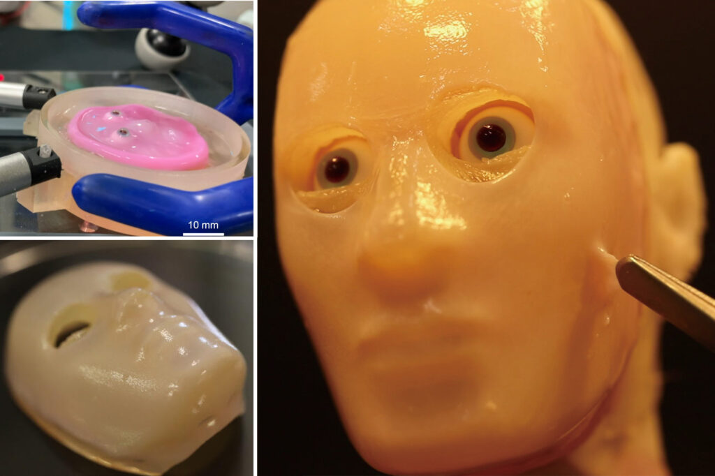 Science & Tech: Scientists Create Robot Face With Lab Grown Living