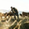 “Beef Apocalypse” – Why Shelf-Stable Beef Could Be Extremely Valuable in the Near Future * 100PercentFedUp.com * by Noah