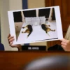 FOIA Docs Suggest Biden Admin Was Aware That Fauci’s NIAID Lied To Cover Up Cruel Beagle Experiments – One America News Network