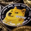 Shiba Inu dogecoin logo