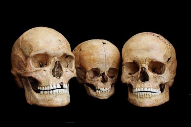 Three human skulls from the Hohlenstein-Stadel cave in Southern Germany, dated to about 8,500 years ago, likely belonging to a family: a man (left), a woman (right), and a child (middle).