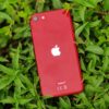 An iPhone SE 2022 in red, resting on foliage