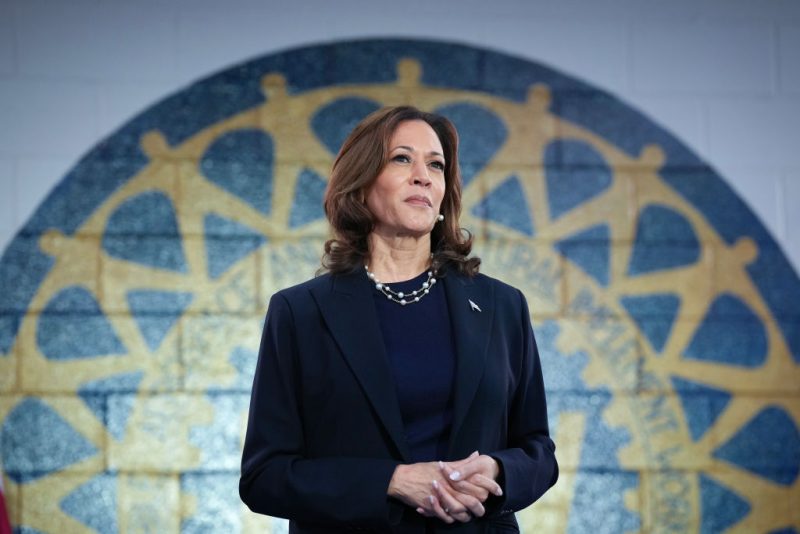 WAYNE, MICHIGAN - AUGUST 08: Democratic presidential candidate U.S. Vice President Kamala Harris waits to speak at a campaign rally at United Auto Workers Local 900 on August 8, 2024 in Wayne, Michigan. Kamala Harris and her newly selected running mate Tim Walz are campaigning across the country this week. (Photo by Andrew Harnik/Getty Images)