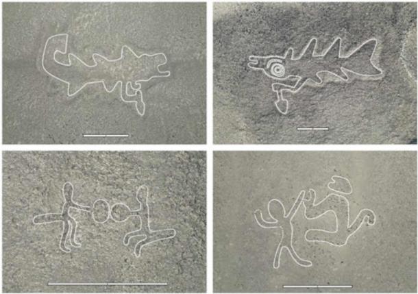 Drone images taken during the field survey that confirmed the geoglyphs as authentic. The scale bars are 5 m. Outlines have been added as a guide to the eye. Versions of the images without the outlines and archaeological interpretations of the relief can be found in the PNAS paper. (Sakai, M. et al./PNAS)