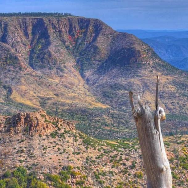 View of Mogollon Rim, east of Pine (Kevin DooleyUSA/CC BY 2.0)