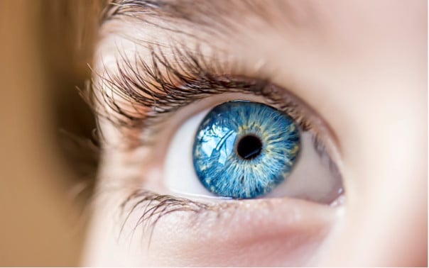 Science & Tech: Mysterious Genetic Origins Of Blue Eyes In