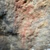 Rock art at Oakhurst rock shelter, Oakhurst farm, near Hoekwil, South Africa. (© V. Gibbon/Max-Planck Institute)