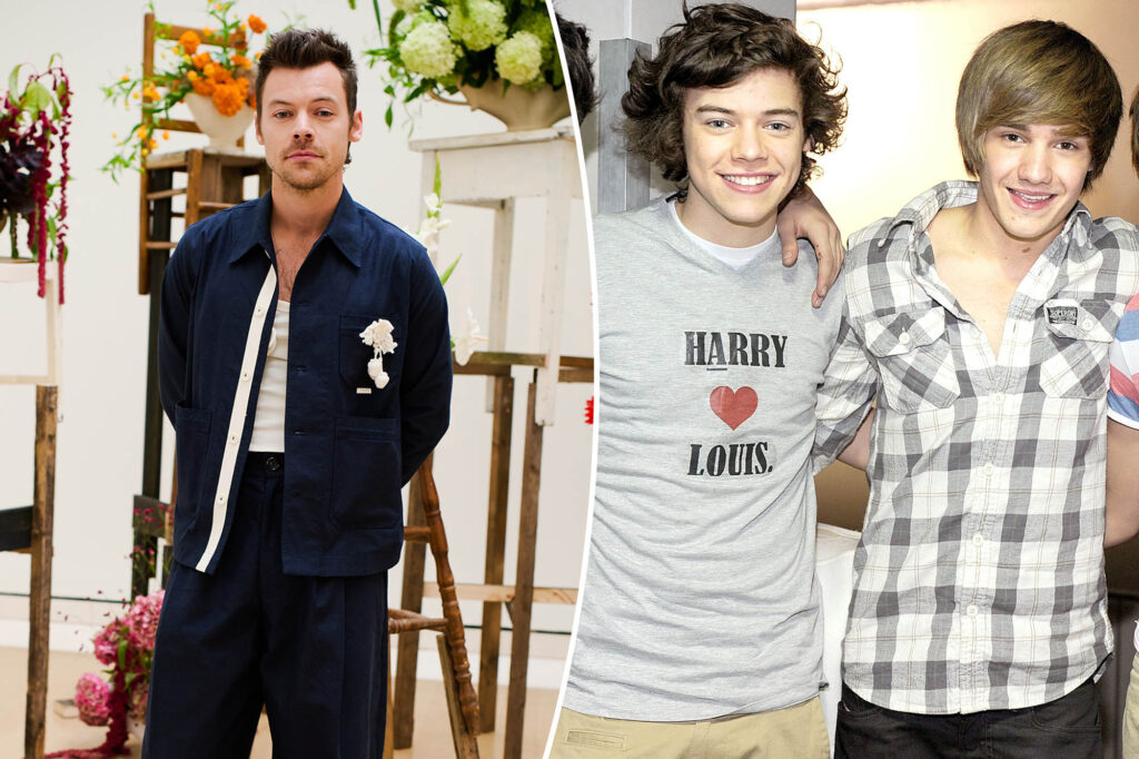 Gossip & Rumors: Harry Styles Breaks His Silence On Liam