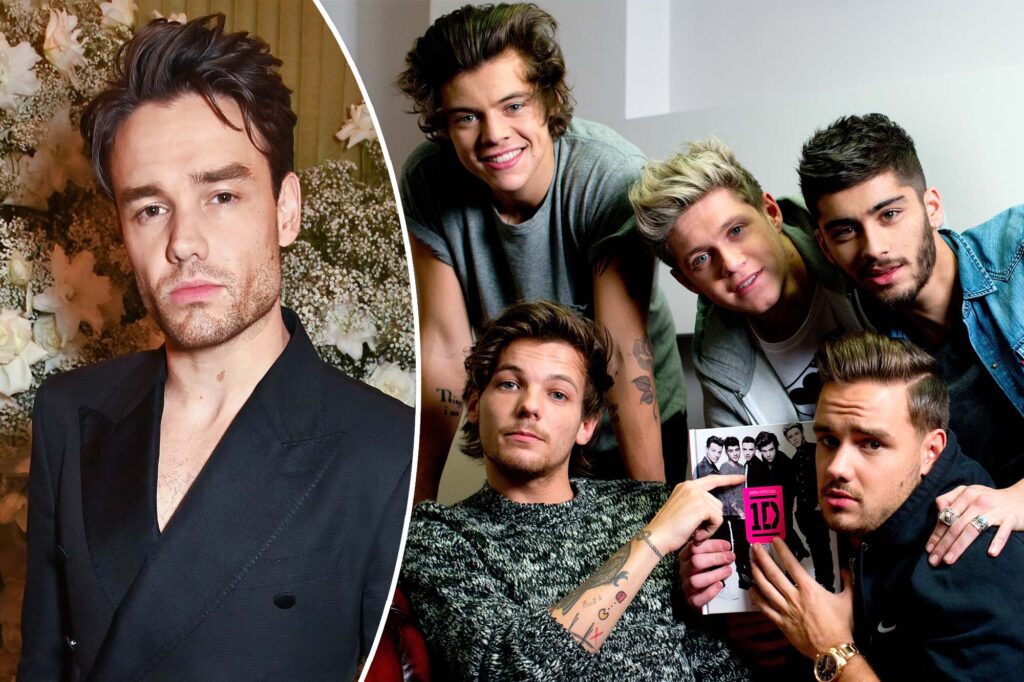 Gossip & Rumors: One Direction Releases Heartfelt Statement On Liam