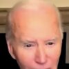 Joe Biden Refers To Half Of Americans As "Garbage" * 100PercentFedUp.com * by Danielle