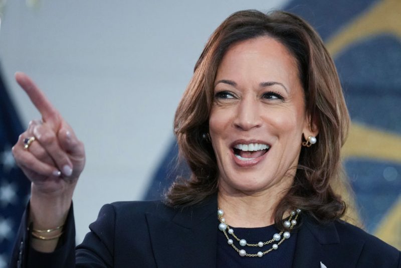 WAYNE, MICHIGAN - AUGUST 08: Democratic presidential candidate U.S. Vice President Kamala Harris speaks at a campaign rally at United Auto Workers Local 900 on August 8, 2024 in Wayne, Michigan. Kamala Harris and her newly selected running mate Tim Walz are campaigning across the country this week. (Photo by Andrew Harnik/Getty Images)