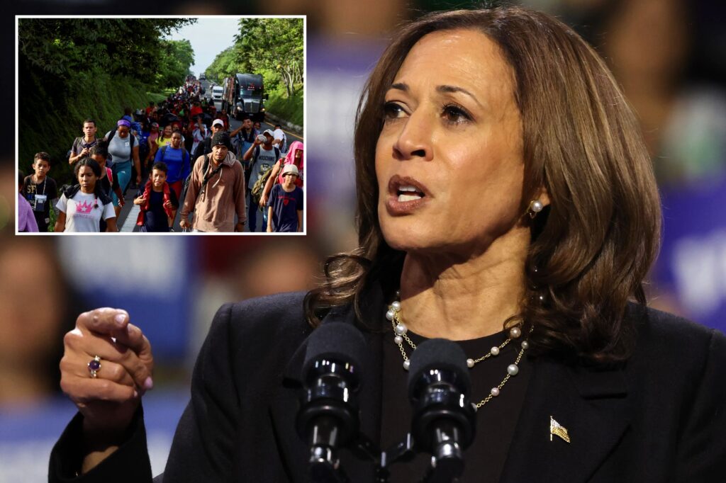 Politics: Kamala Harris' Past Proposals Show Her True Intentions With