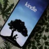 Amazon's Kindle e-book app is seen on an iPhone in an illustration taken April 11, 2023. REUTERS/Chris Helgren/Illustration/File Photo