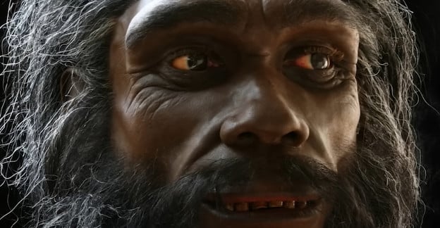 Science & Tech: Homo Habilis: The Very First Species Of