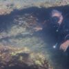 Science & Tech: Underwater Caves Yield New Clues About Sicily’s