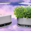 Travel & Lifestyle: This Garden Kit Lets You Grow Veggies,