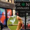 Politics: Ny's 'luxury' Cannabis Dispensaries Almost As Bad As Illicit