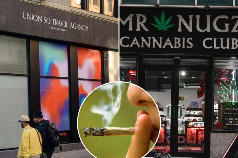 Politics: Ny's 'luxury' Cannabis Dispensaries Almost As Bad As Illicit