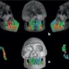 Science & Tech: Rate Of Human Development First Slowed Down