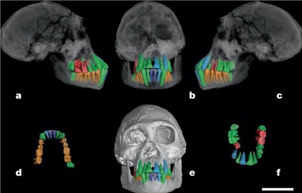 Science & Tech: Rate Of Human Development First Slowed Down