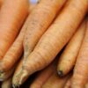 Travel & Lifestyle: 1 Dead, Dozens Sick After Eating Carrots