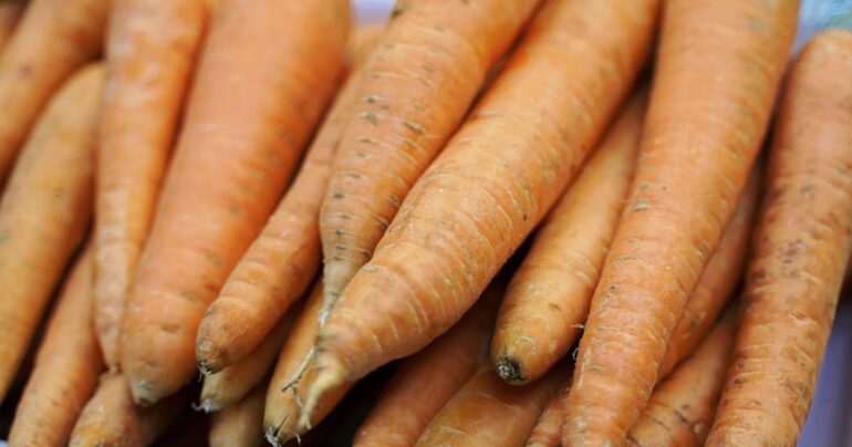 Travel & Lifestyle: 1 Dead, Dozens Sick After Eating Carrots