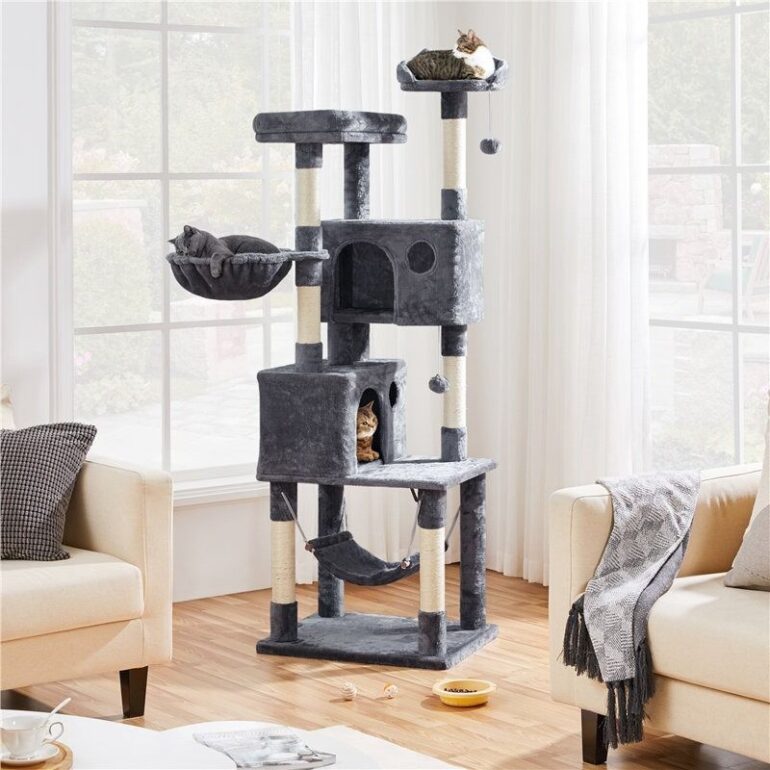 Travel & Lifestyle: A Behaviorist Explains Why Cat Trees Are