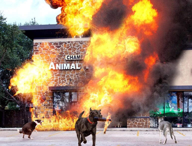 Satire News: Canine Breeding Activists Firebomb Spay And Neuter Clinic