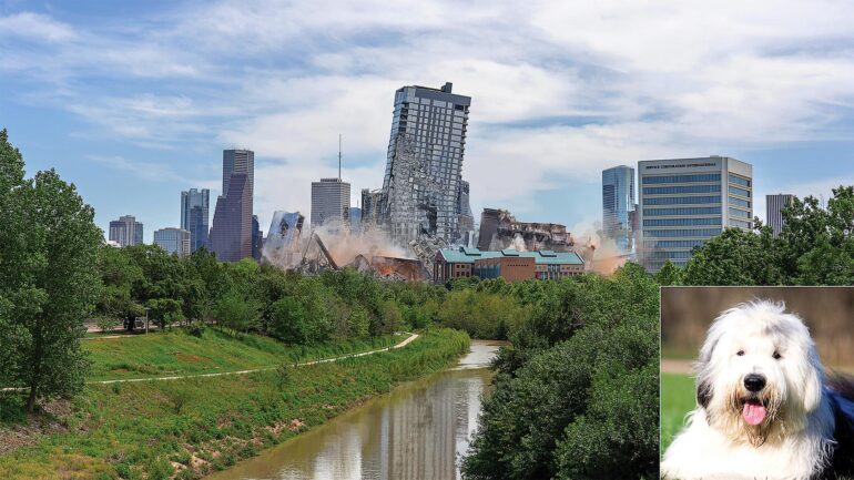 Satire News: Large, Playful Sheepdog Knocks Over Houston Skyline