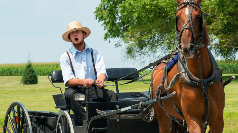 Satire News: ‘the Harvest!’ Shrieks Forgetful Amish Guy