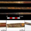 Three Neolithic arrows recovered from the Cave of Los Murciélagos in Albuñol