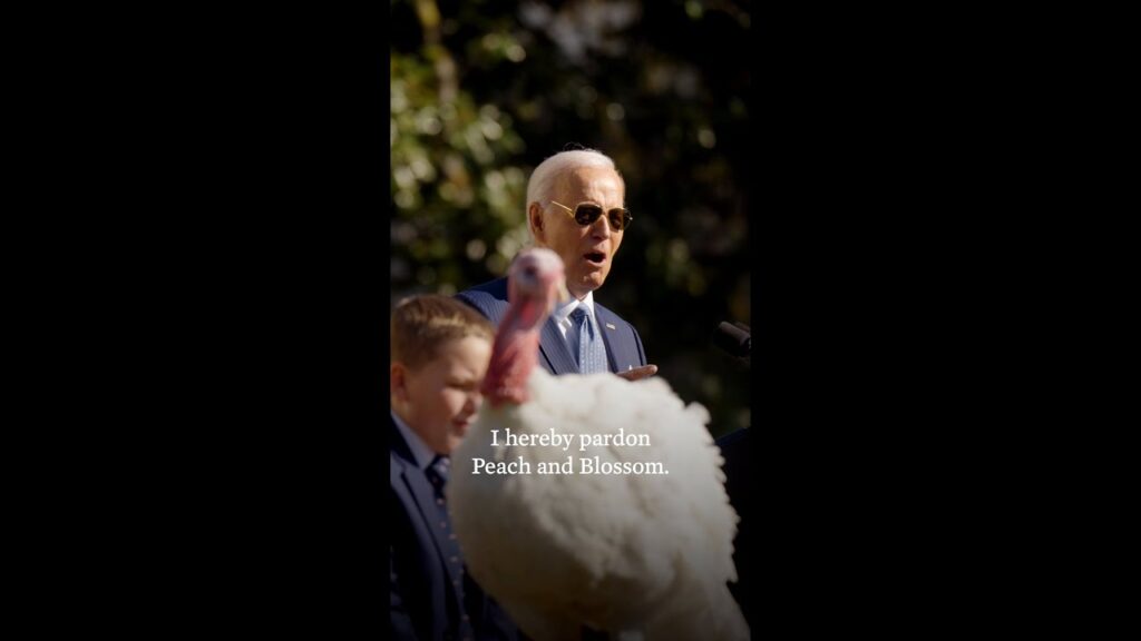 President Biden pardons Peach and Blossom, turkeys from Minnesota, before Thanksgiving 2024