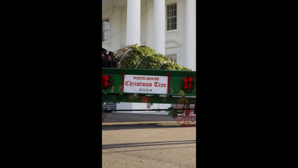 The First Lady receives the official 2024 White House Christmas Tree