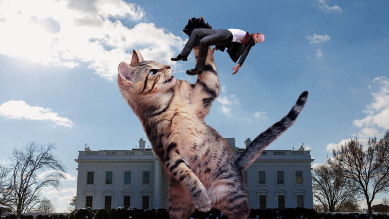 Satire News: Biden Batted Around By Giant Cat