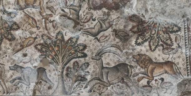 Section of the Roman mosaic floor unearthed in a cherry orchard in eastern Turkey.