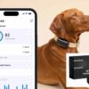 Science & Tech: Why Is Your Dog Barking? New Gadget