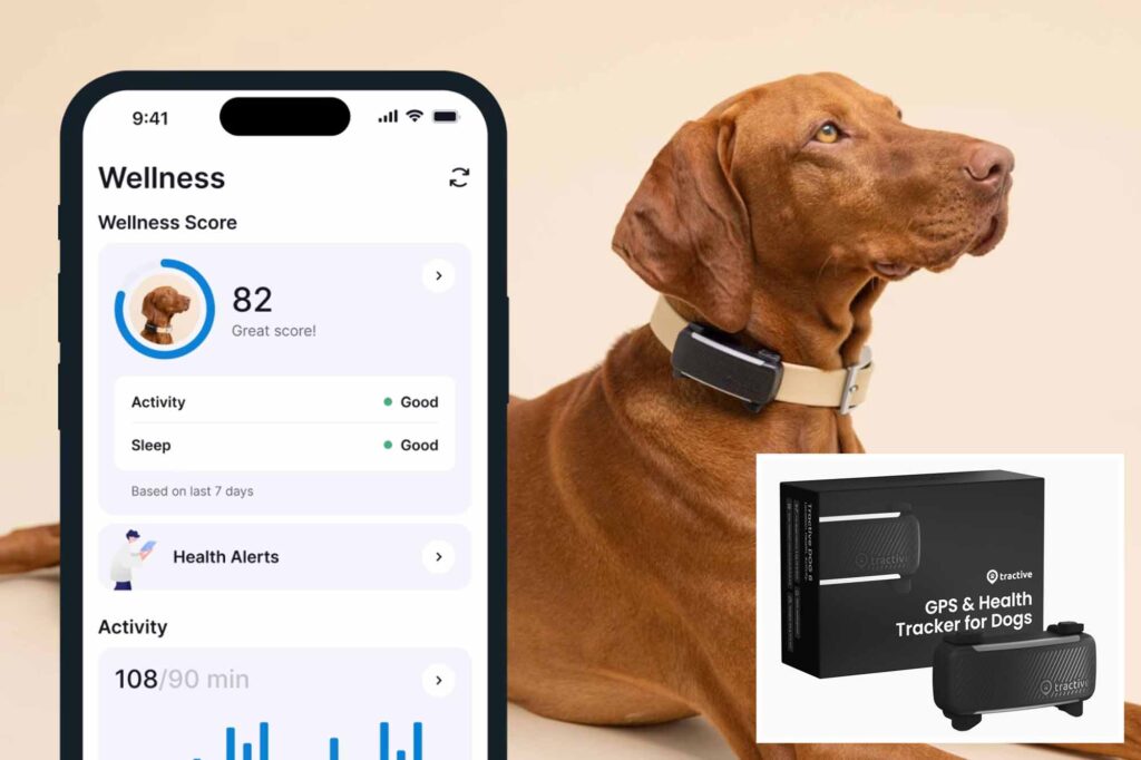 Science & Tech: Why Is Your Dog Barking? New Gadget