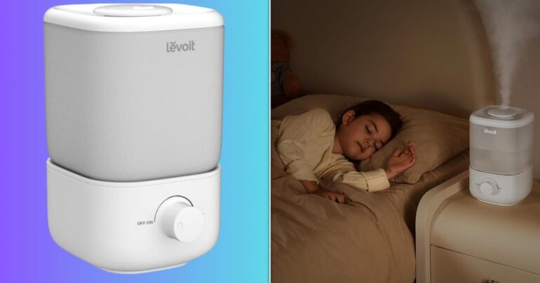 Travel & Lifestyle: This Highly Rated Levoit Humidifier Is 25%