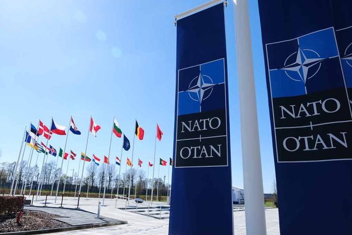 NATO flags and banners under clear sky.