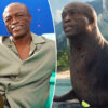 Gossip & Rumors: Seal Has Jump Scare Transformation In Mountain