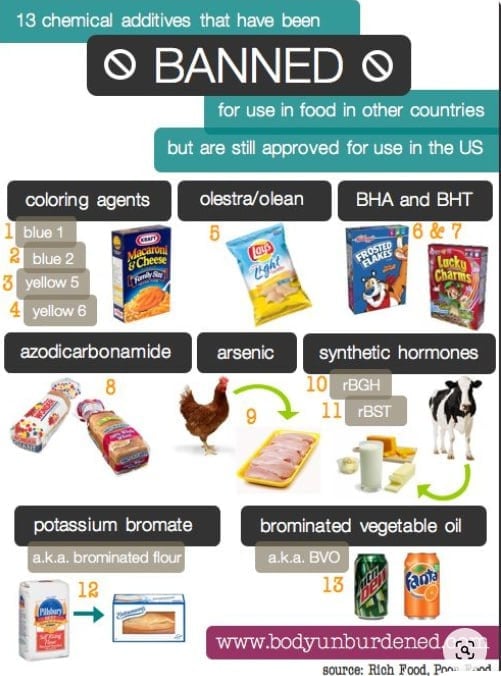 WAKE UP AMERICA…Your Food Is BANNED In 30+ Countries! * 100PercentFedUp.com * by Noah