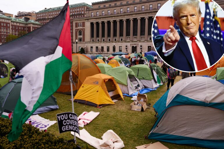 Politics: Deporting Pro Terror Protestors Will To Restore order To Lawless Campuses