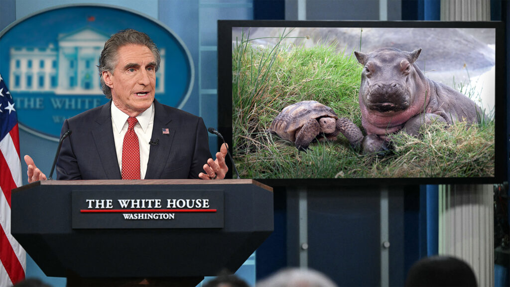 Satire News: Department Of Interior Bans Unlikely Animal Friendships