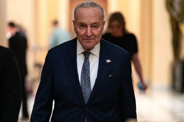 Politics: chuck schumer government shutdown, letters