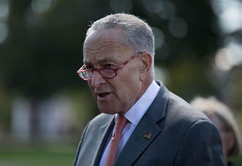 Politics: democrats fume at schumer after cave on budget