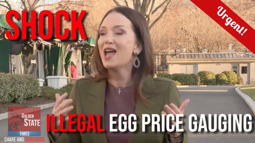 EGG PRICE SCANDAL: Trump's DOJ Investigates Egg Price Gauging Corruption!