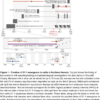 Politics: H5n1 Genotype D1.1: Understanding Its Evolution, Risks, And Public